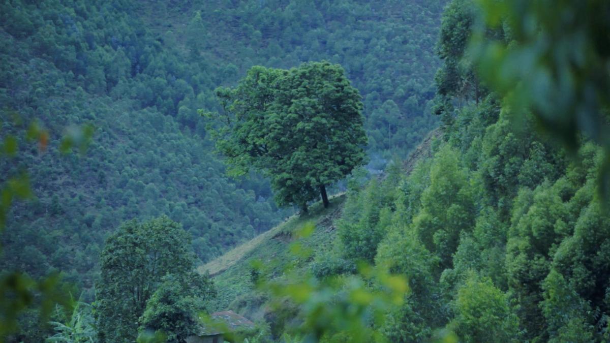 Amanda Beech: Map of the Bomb, still, 2022