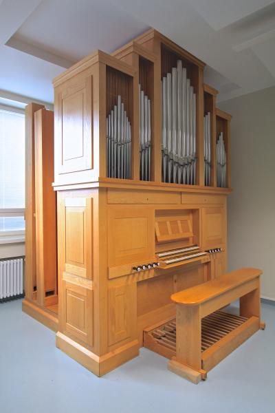 Kangasal organ