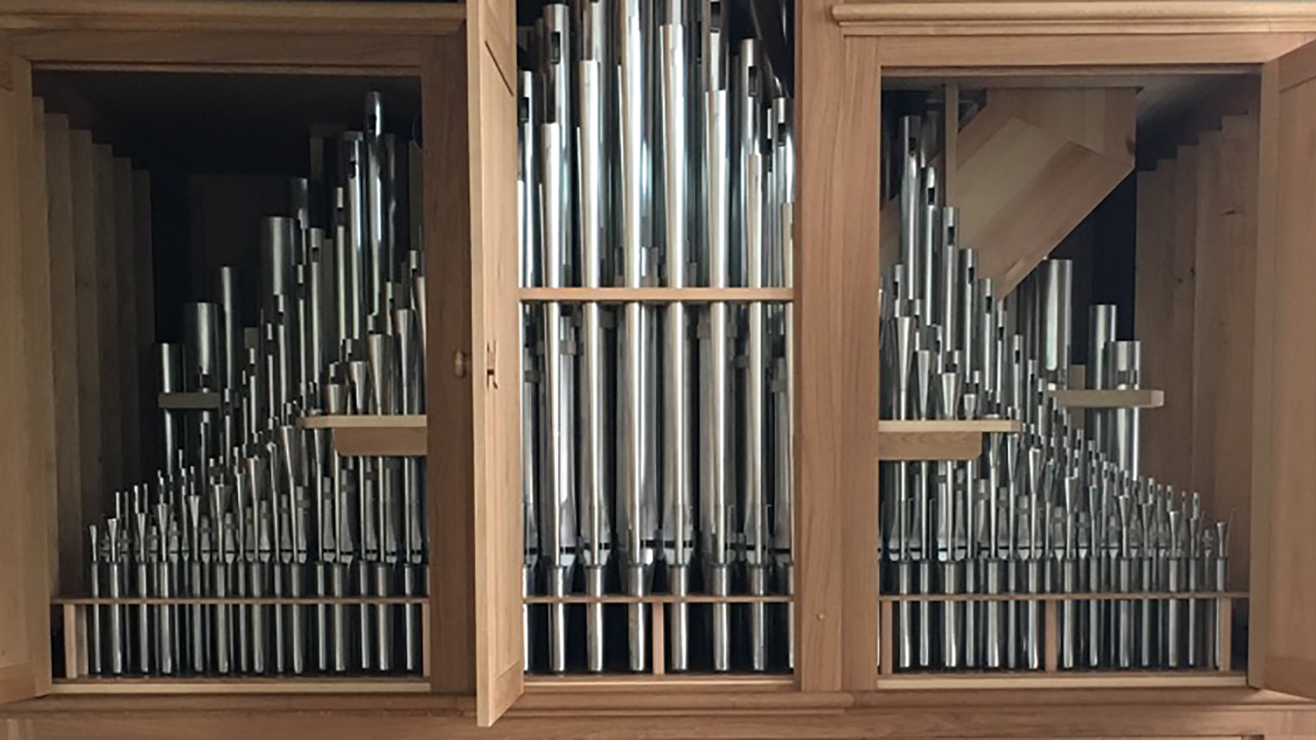 Paschen organ