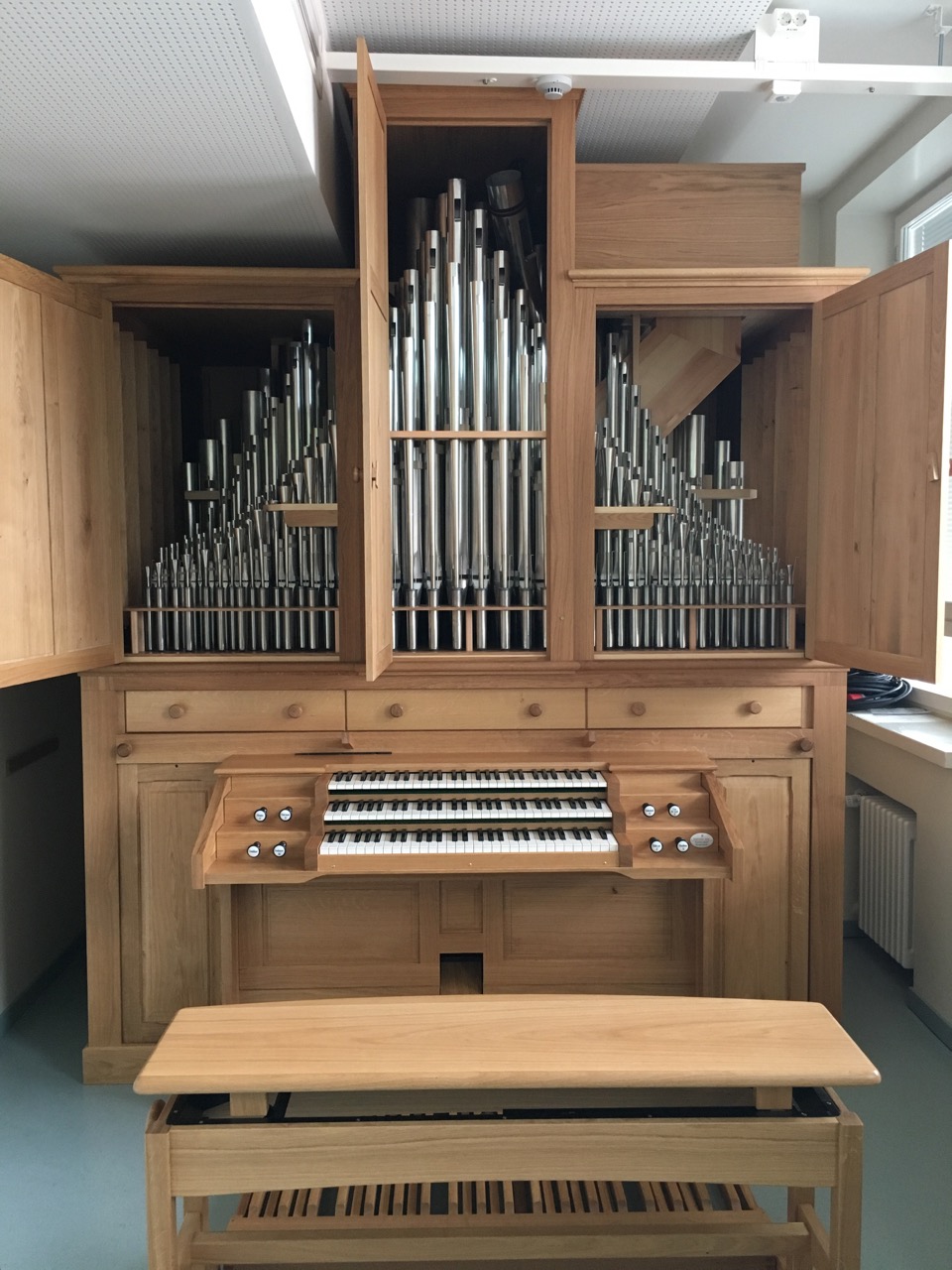 Paschen organ