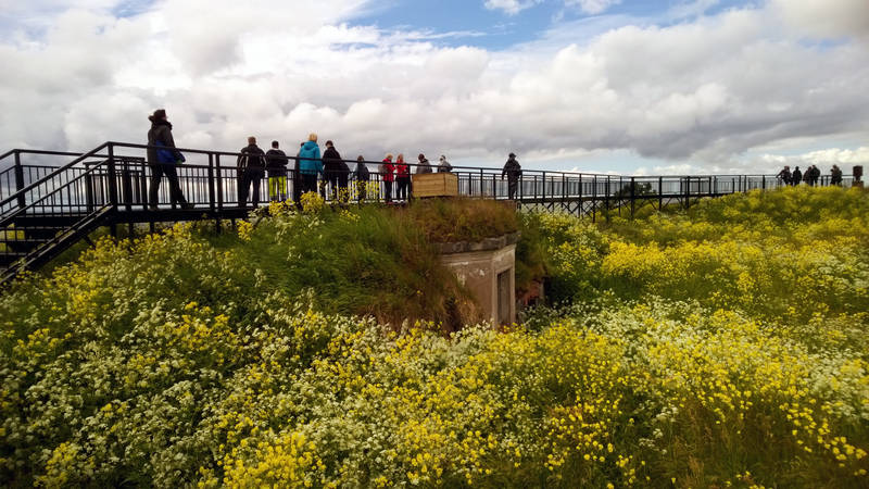 Nature scene. People on a bridge.