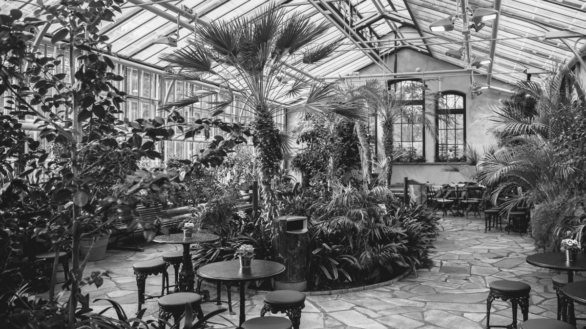 Winter Garden, there is trees nad many plants, in the front there is three tables and chairs.