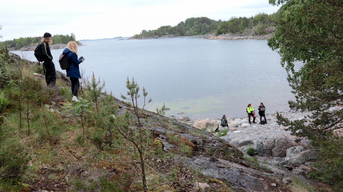 People on a rock slope next to a seashore and looking towards the sea.