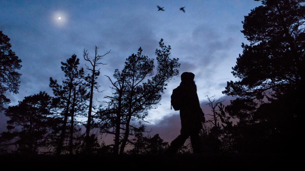 Tummanpuhuva henkilö iltahämärässä luonnon keskellä.