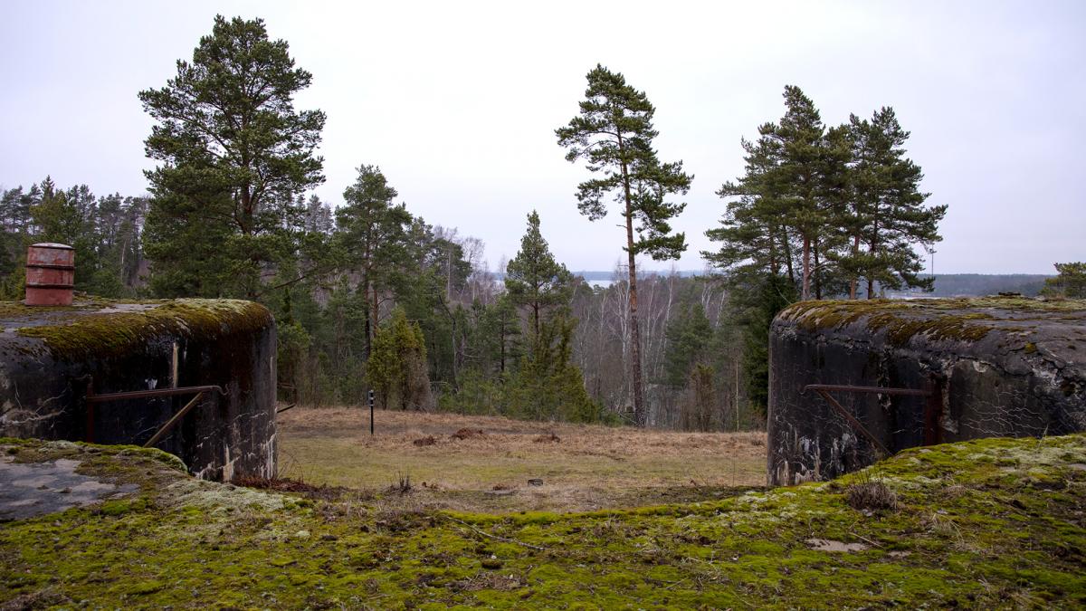 Kuninkaansaari nature landscape, two bunkers at the forefront, a speck of sea behind pine trees on the horizon.