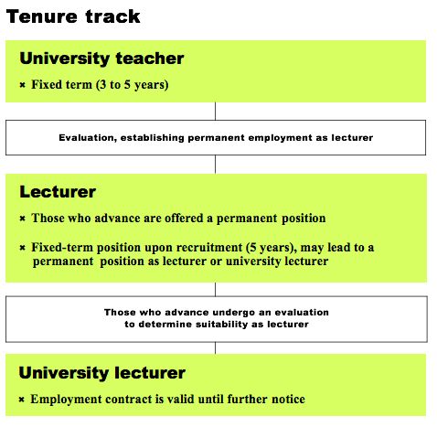 TENURE TRACKS IS: UNIVERSITY TEACHER (FIXED TERM 3-5 YEARS AND THEN EVALUATION, ESTABLISHING PERMANENT EMPLOYMENT AS LECTURER. LECTURER: THOSE WHO ADVANCE ARE OFFERED A PERMANENT POSITION. FIXED-TERM POSITION UPON RECRUITMENT (5 YEARS), MAY LEAD TO A PERMANENT POSITION AS LECTURER OR UNIVERSITY LECTURER. THOSE WHO ADVANCE UNDERGO AN EVALUATION TO DETERMINE SUITABILITY AS LECTURER. UNIVERSITY LECTURER: EMPLOYMENT CONTRACT IS VALID UNTIL FURTHER NOTICE.