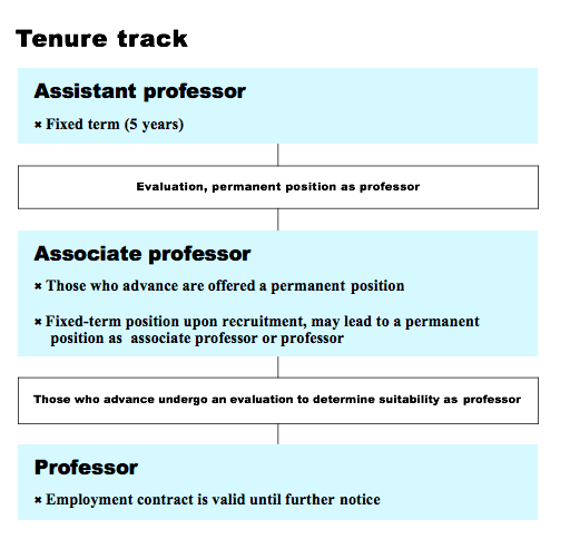 Tenure track. 
Assistant professor (fixed term, 5 years) and then evaluation, permanent position as professor. 
Associate professor: those who advance are offered a permanent position. Fixed-term position under rectuitment, may lead to a permanent position as associate professor or professor. 
Those who advance undergo an evaluation to determine suitability as professor. 
Profeesor: employment contract is valid until further notice.