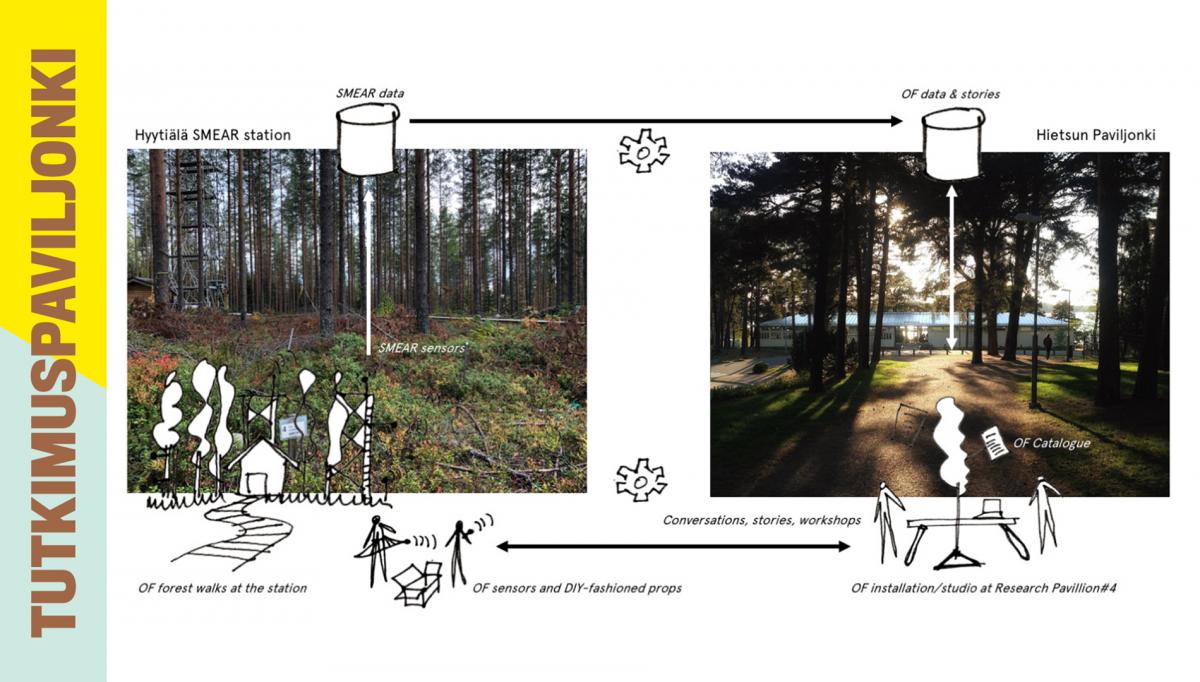 Piirros tapahtumasta Avoin metsä.