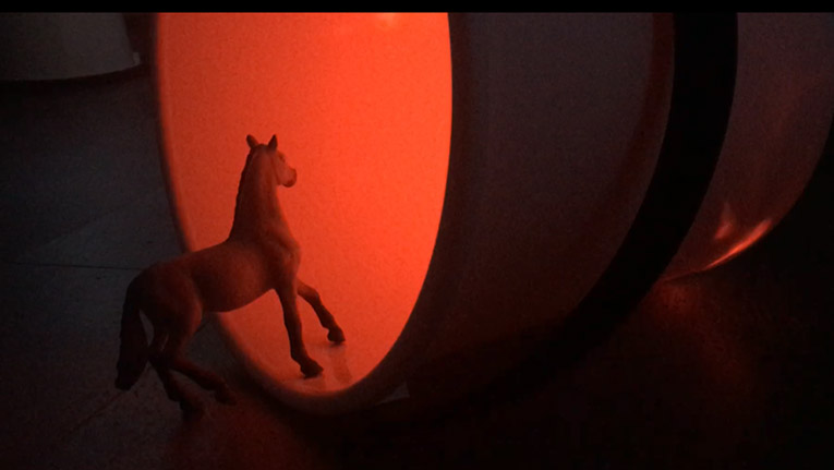 Kuvassa hevonen osittain punaisessa valospotissa.