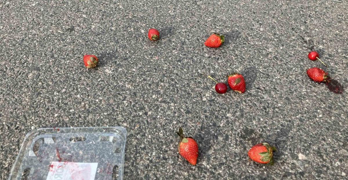Strawberries on asphalt and their empty plastic container.