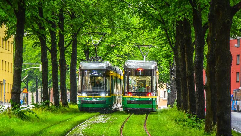 Two green trams passing each other under lash green trees.