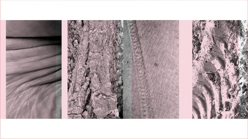 Four images with a close-up of white human skin, tree bark and soil.