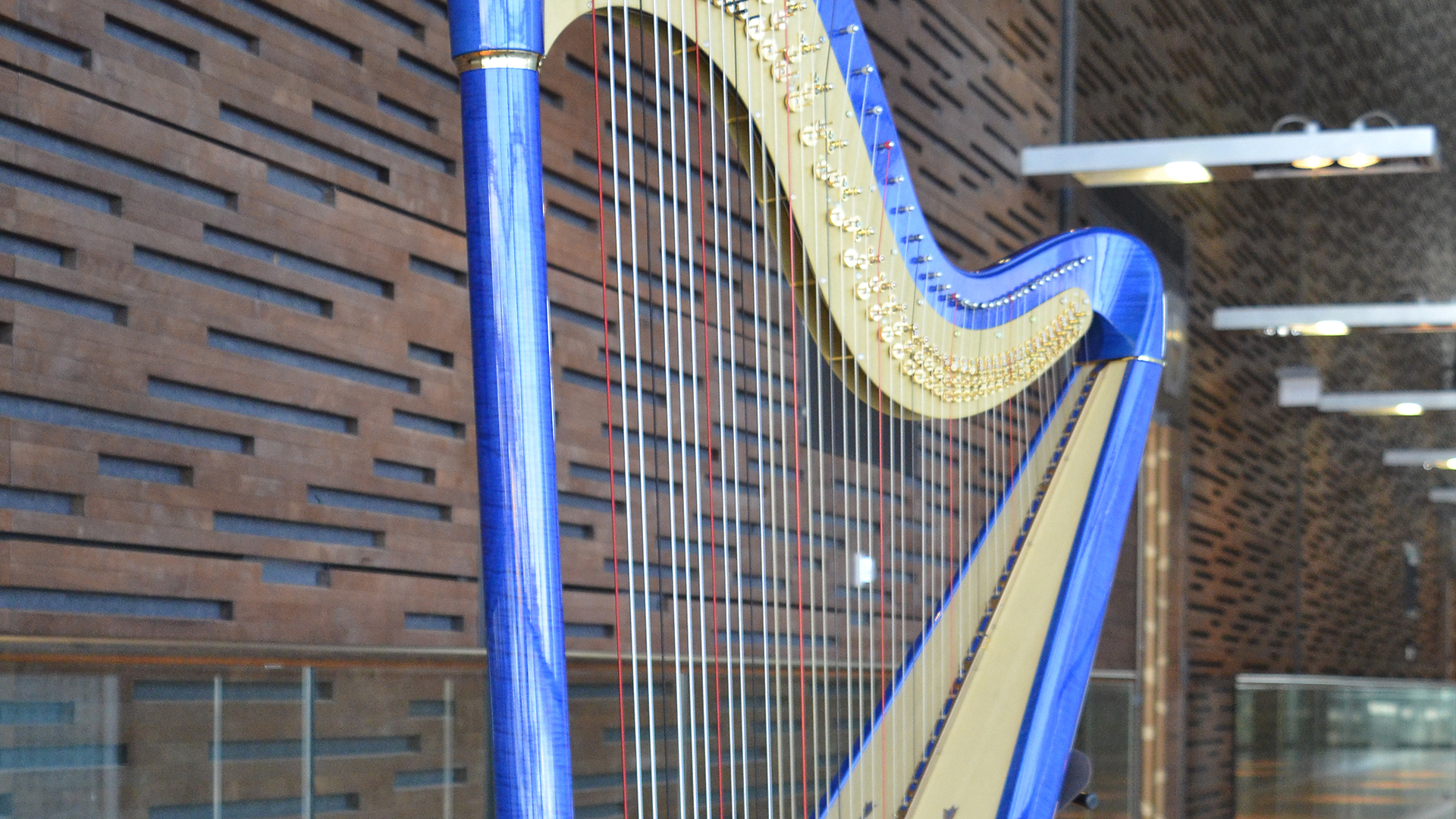 Helsinki Harp Festival Electric harp Uniarts Helsinki